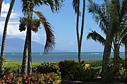 Aloha Kai at Wavecrest Resort