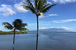 Aloha Kai at Wavecrest Resort