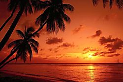 Sugar Beach Resort 216