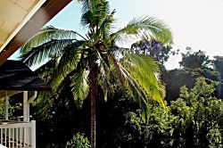 Bamboo Valley Inn 2BR Suite