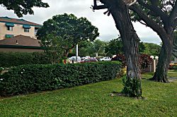 Pacific Shores B-303