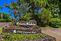 Prince Kuhio 305