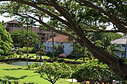 Kiahuna Plantation #155 (building 23)