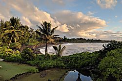 Honokalani Unit #201