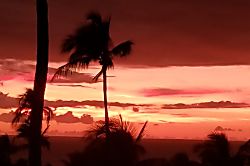 Grand Champions Villas Condo Rental