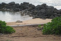 Lae Nani Private Condo