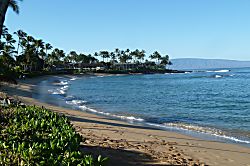 Napili Shores Resort * "H"-264