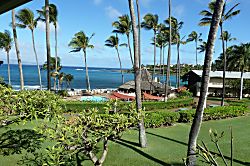 Napili Shores Resort * "H"-264