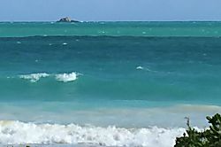 Sheffield House Ginger Studio