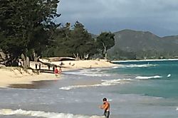 Sheffield House Ginger Studio