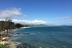 Sheffield House Ginger Studio