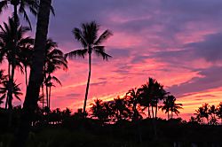 Hualalai Hillside 1102