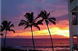 Polo Beach Club Unit on Second Floor