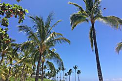 Little Slice of Paradise