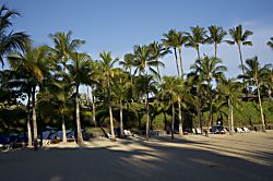 Little Slice of Paradise