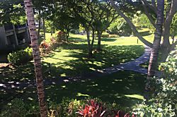 Little Slice of Paradise