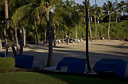 Little Slice of Paradise