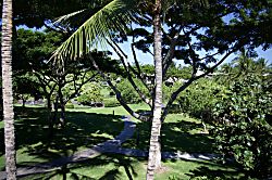 Little Slice of Paradise