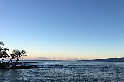 Little Slice of Paradise