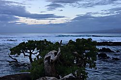 Little Slice of Paradise