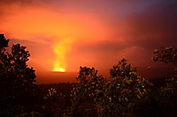 Little Slice of Paradise