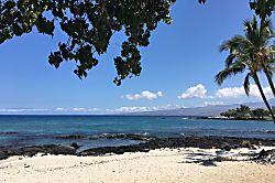 Little Slice of Paradise