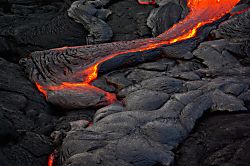 Little Slice of Paradise