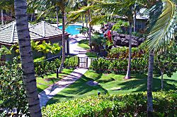 Little Slice of Paradise