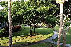 Little Slice of Paradise