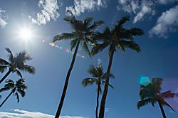 Sugar Beach Resort 104