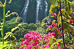 Kiahuna Plantation #175 (building 27)