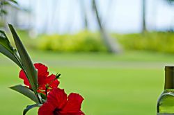 Kiahuna Plantation #175 (building 27)