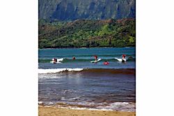 The Hanalei Beach House