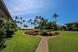 Waiohuli Beach Hale D224