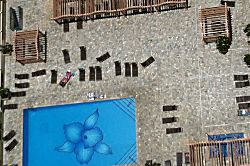 "Island Colony Waikiki" 