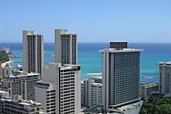 "Island Colony Waikiki" 