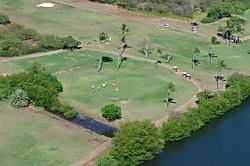 "Island Colony Waikiki" 