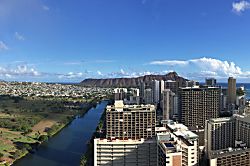 "Island Colony Waikiki" 