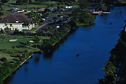 "Island Colony Waikiki" 