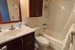 "Island Colony Waikiki" 