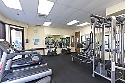 "Island Colony Waikiki" 