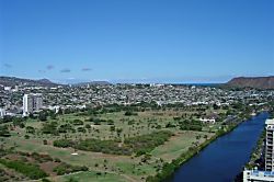 "Island Colony Waikiki" 