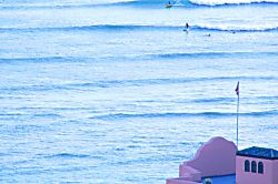 "Island Colony Waikiki" 