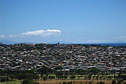 "Island Colony Waikiki" 