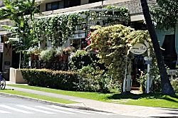 08-B Hawaiian Monarch Waikiki