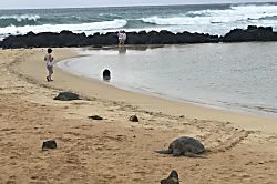 Kiahuna Plantation #128 (building 19)