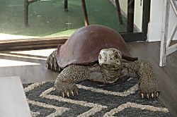 Kamaole Sands 10-317