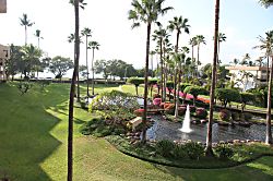 Kamaole Sands 10-317