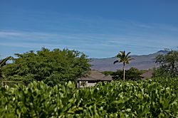 Mauna Lani Kamilo #407