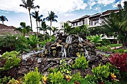 Best Value in Maui
